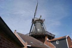 DSC04530