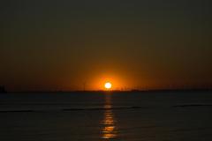 DSC04204